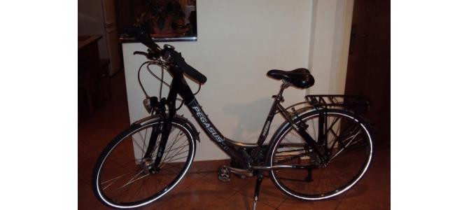 Bicicleta PEGASUS premio sl 7005 al