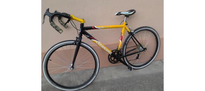 VAND / SCHIMB Bicicleta Cursiera