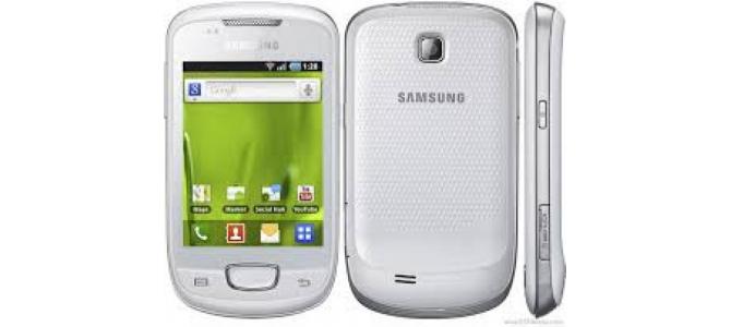 Vand telefon Samsung S5570.