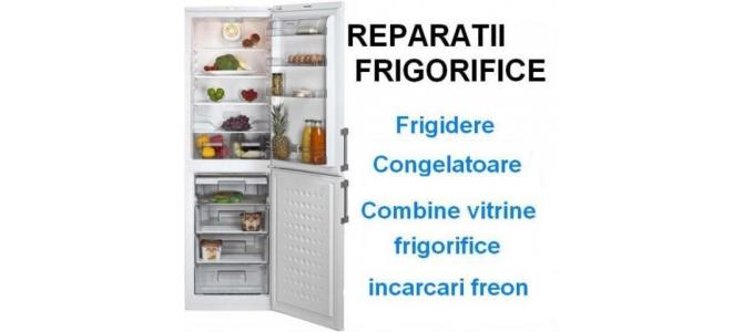 Service reparatii frigidere