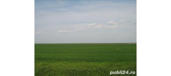Vand Teren agricol Romania-Mehedinti 800 ha