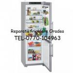 Reparatii frigidere Oradea tel 0770-104963