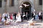 Lansarea porumbeilor la nunti Oradea